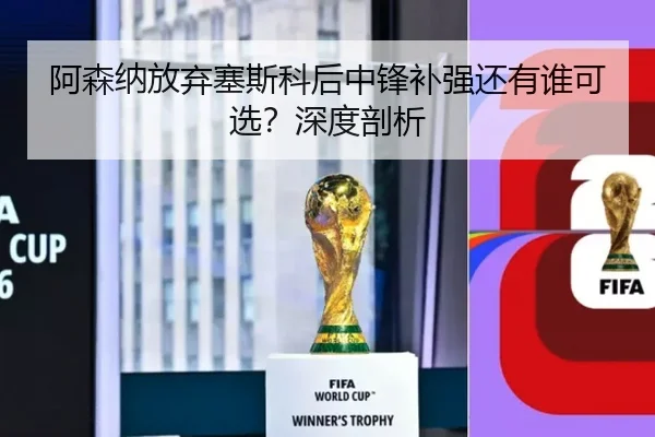 阿森纳放弃塞斯科后中锋补强还有谁可选？深度剖析